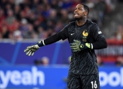 LOL赛事-法国队客场惨遭逆转，遗憾失利的简单介绍