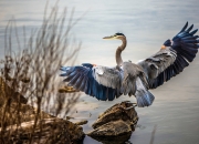LOL赛事-绝境铸传奇，从NBA西决生死战到勒沃库森的德意志逆转
