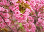 英雄联盟总决赛2025-错位时空的狂想，拉文如何化身费城奇兵