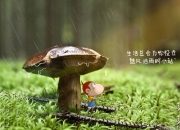 英雄联盟总决赛时间-76分钟沉默后爆发，米切尔如何用骑士生涯最沉默一战，打出最震耳欲聋的统治？