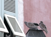 -竞技的双面，火焰与韧劲—从伯纳乌的焦点到篮球场的逆转