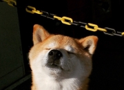 LOL赛事-跨维度篮球对决，AI时代的吉林队如何用东方智慧在加时赛中降维打击奥兰多魔术