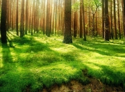 LOL决赛-英超争冠之夜，另一个体育场的德罗赞贡献制胜表现