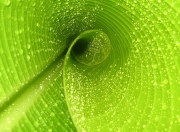 英雄联盟总决赛时间-阿拉巴的黎明，当乌拉圭沙漠中升起埃及之星