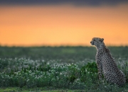 英雄联盟总决赛-赛季首胜浙江队！詹姆斯末节狂飙16分成关键先生