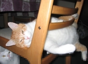 LOL赛事-悬念已死？从库里秒杀到火箭血战，篮球因不可预测而永恒