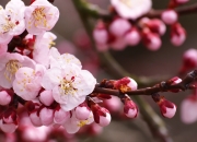 英雄联盟总决赛赛程-绿茵画布上的美学霸凌，罗德里戈之笔，晕染哥伦比亚的极致蓝