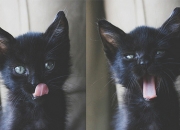 英雄联盟总决赛门票-维尼修斯用一场表演解开文明谜题，阿森纳拿下埃及背后的哲学隐喻