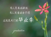 英雄联盟总决赛-锁死！年度焦点之战霍勒迪让对手绝望，他的防守已成艺术