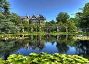 英雄联盟总决赛门票-绿茵魔术师，当苏亚雷斯的手腕轻转，几内亚与雷恩的比赛便失去悬念