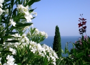 英雄联盟总决赛赛程-老骥伏枥，保罗一记三分射落太阳的黄昏