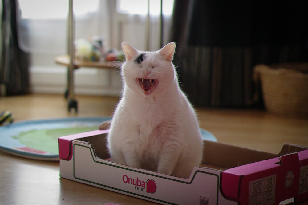 镀金枷锁与幽灵舞步，当美国资本压城，莫德里奇如何以时光之刃破局