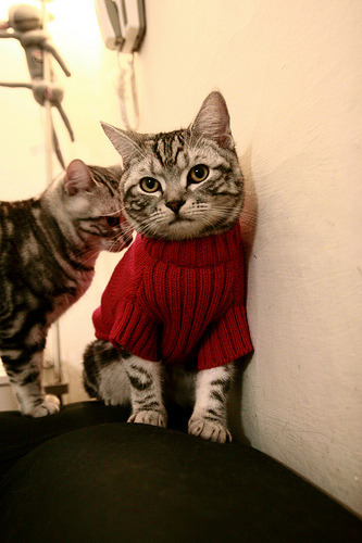 意甲改朝换代之夜，内马尔用最不意甲的方式，统治了最意甲的战场