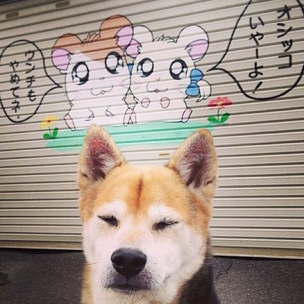 复仇者联盟，勇士火炮齐鸣轰沉快船，新王拉梅洛加冕关键先生