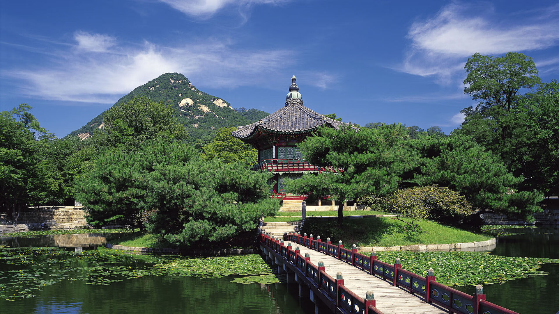 看不见的步行者，当库里以沉默的稳健，走过纽约的轰鸣