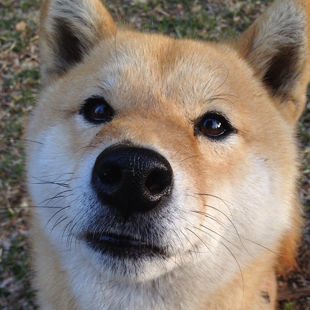 棋局与舞者，巴黎的立体棋盘如何映衬贝林厄姆的独舞