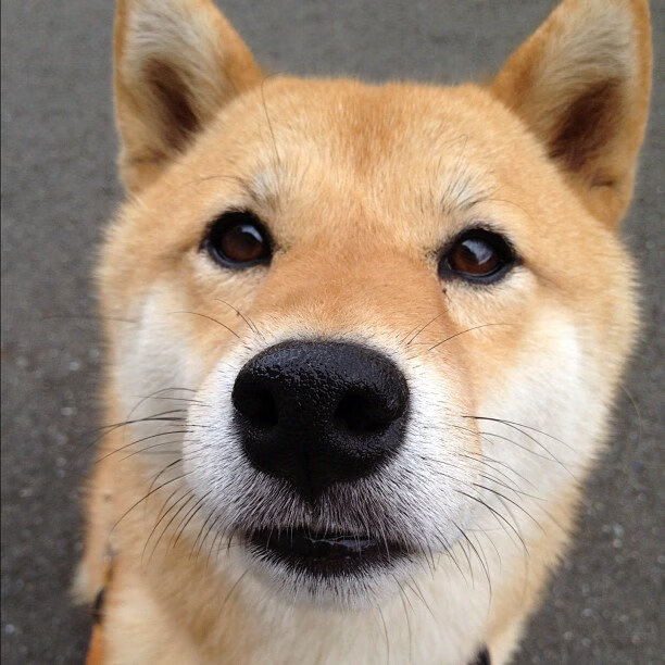 世界排名争夺战焦点战,加拿大铁腕掌控改写排名格局