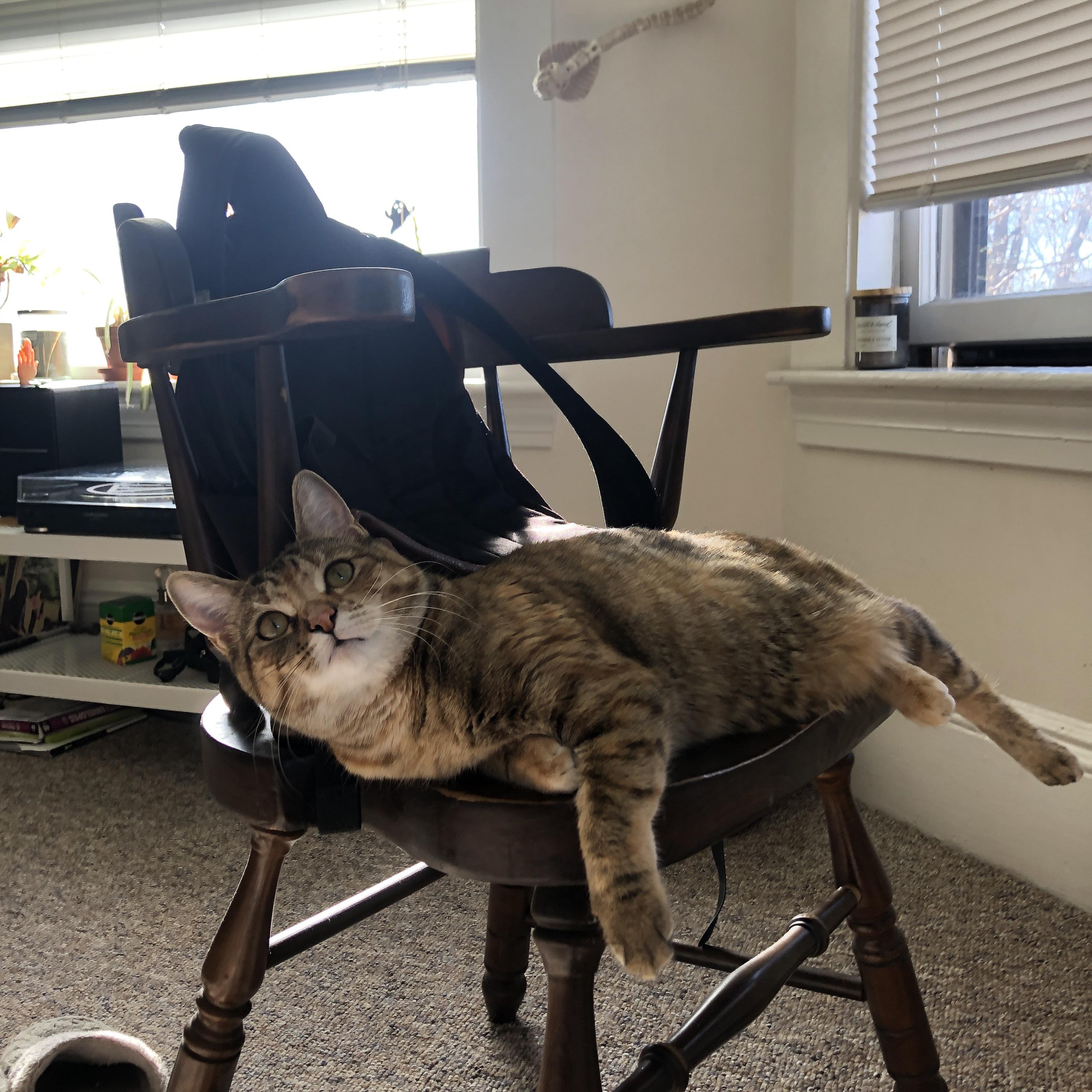 跨越大洋的44分风暴,当浓眉穿上76人球衣打崩上海队防线