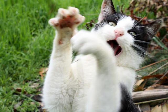 数据核爆之夜，恩比德轰穿天花板，MVP争夺战再无悬念？