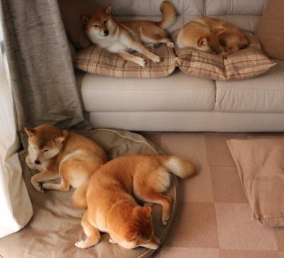 不眠长夜，星辰为证，黄喜灿于奥运悬崖边的冠军一击