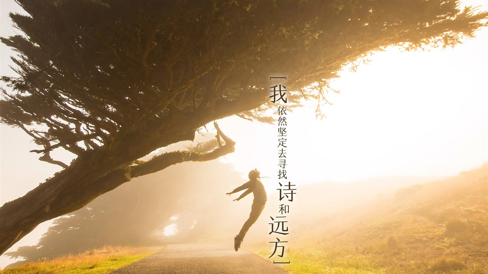 燃爆西决之夜！塔图姆杀神模式全开，刷新传奇定义