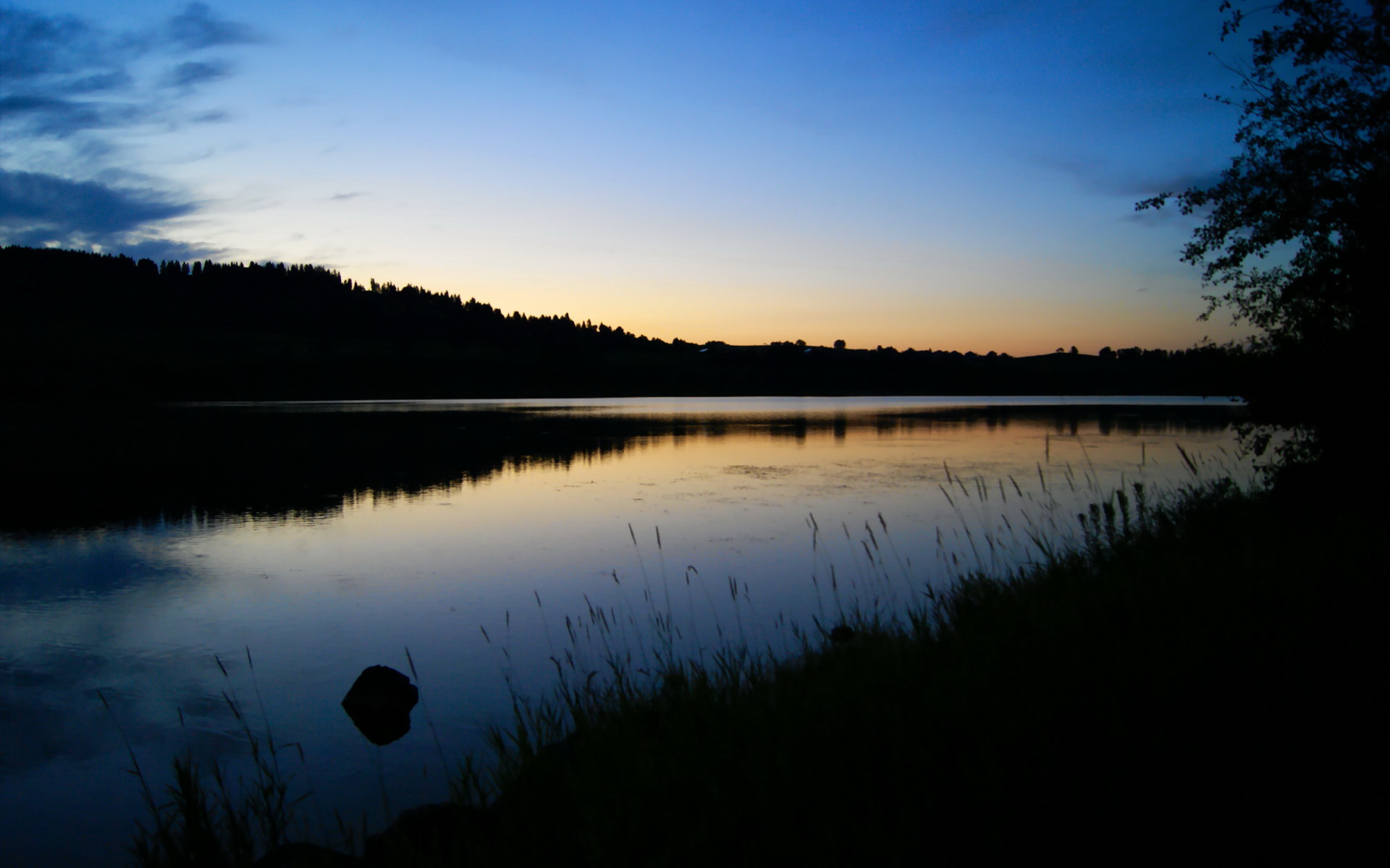 冰封麦迪逊，魔术用防守绞杀尼克斯，福克斯末节接管定乾坤