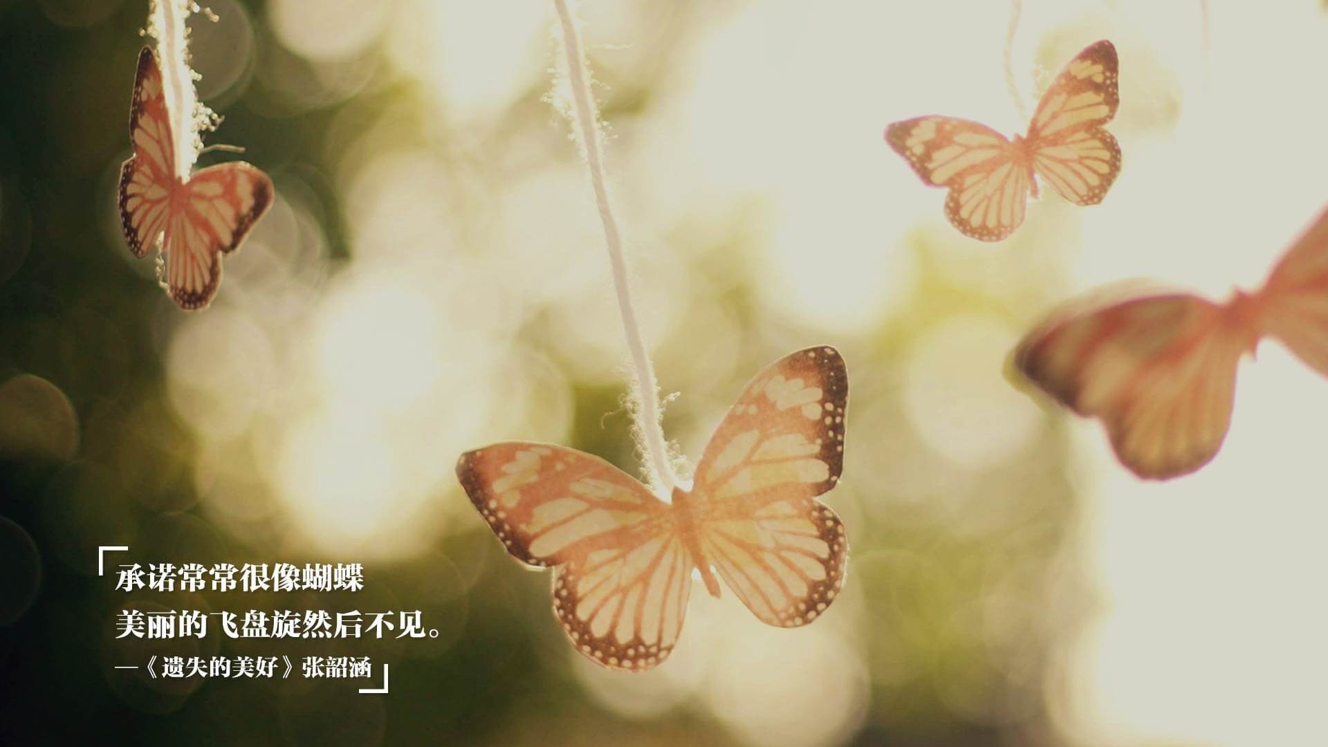 冰封麦迪逊，魔术用防守绞杀尼克斯，福克斯末节接管定乾坤