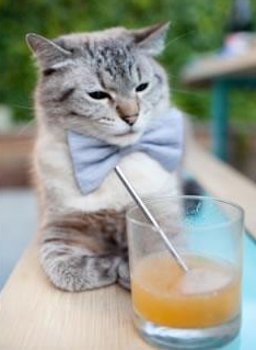 元宇宙哨响2026世界杯之夜，爱德华兹关键制胜