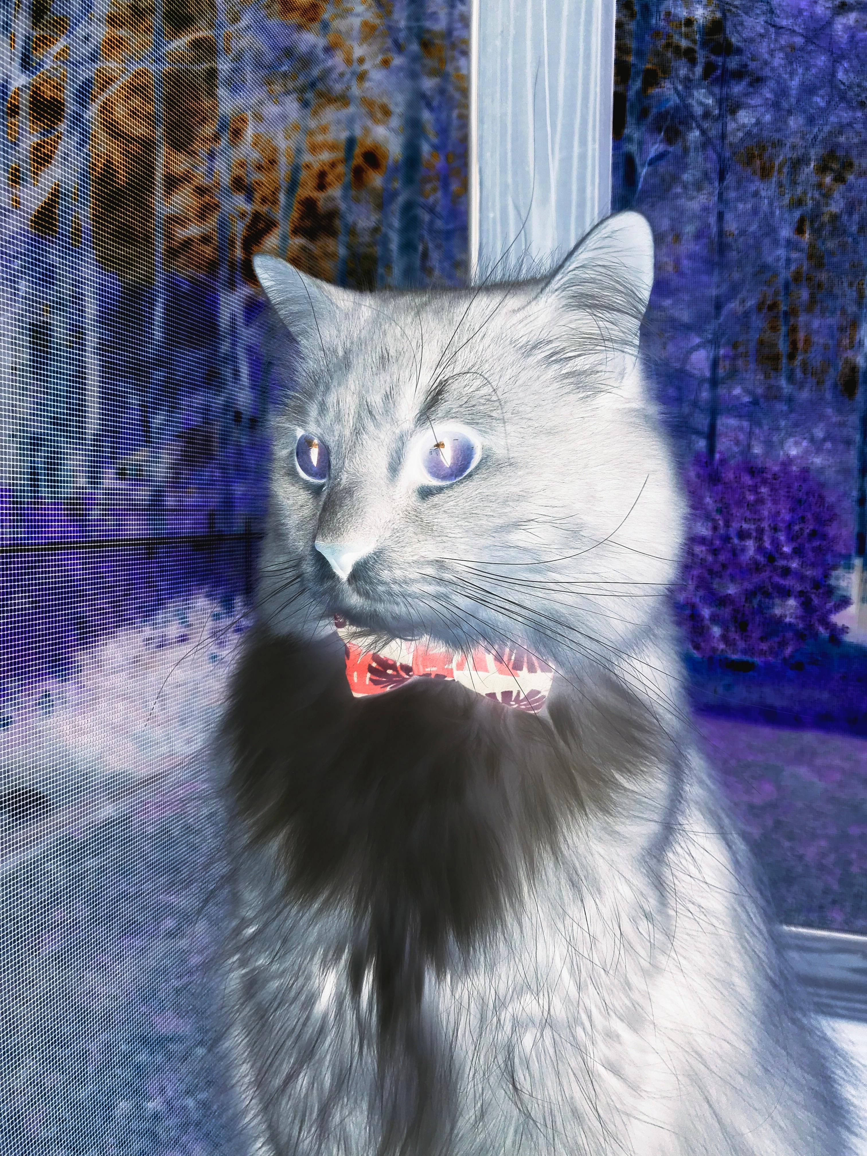 惊天逆转！末节狂飙19分，拉梅洛化身关键先生奇才绝地翻盘快船