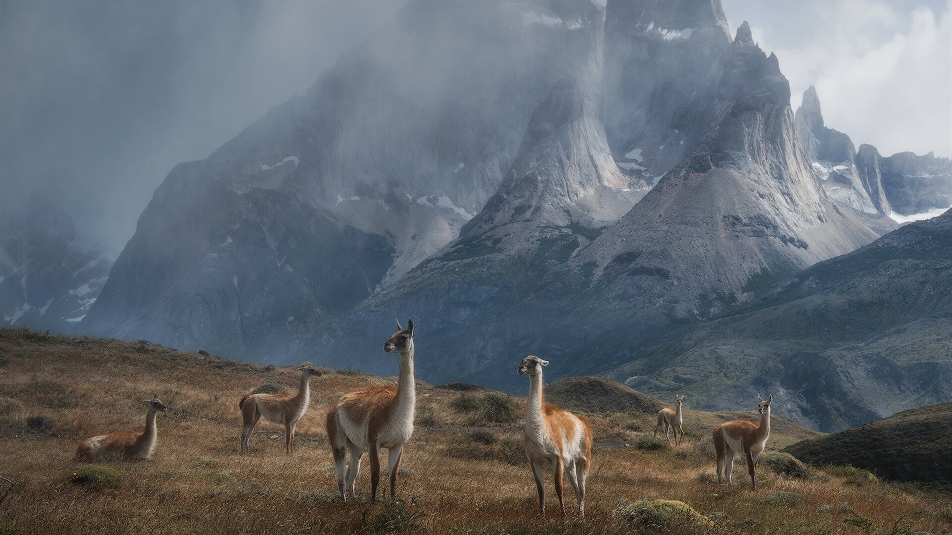孔德节奏完全掌控,巴萨用沉默的交响淘汰巴黎圣日耳曼