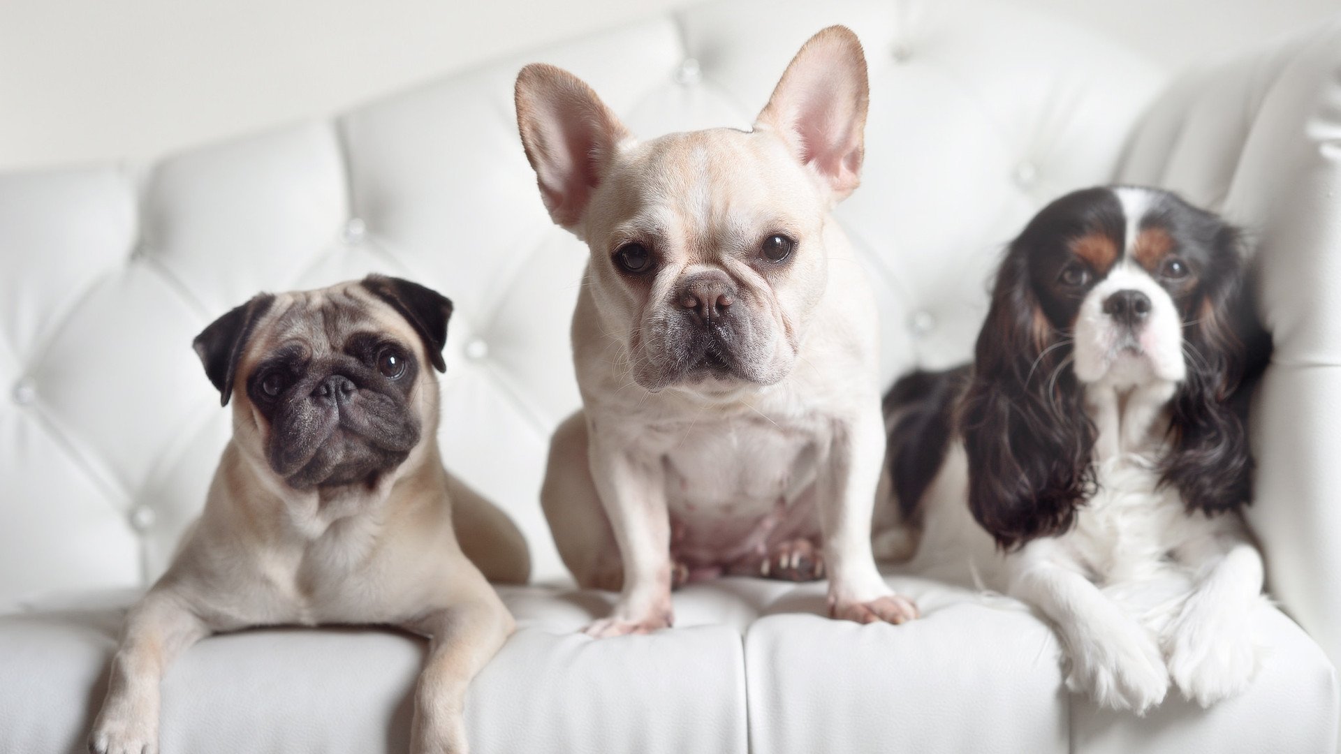 破界者之夜，当斯通斯用一场比赛重构中卫的想象边界