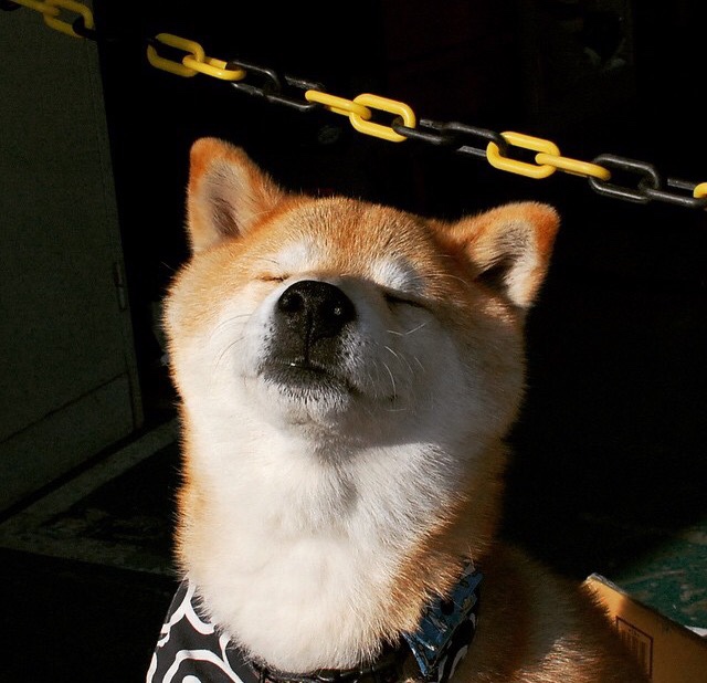 跨维度篮球对决，AI时代的吉林队如何用东方智慧在加时赛中降维打击奥兰多魔术