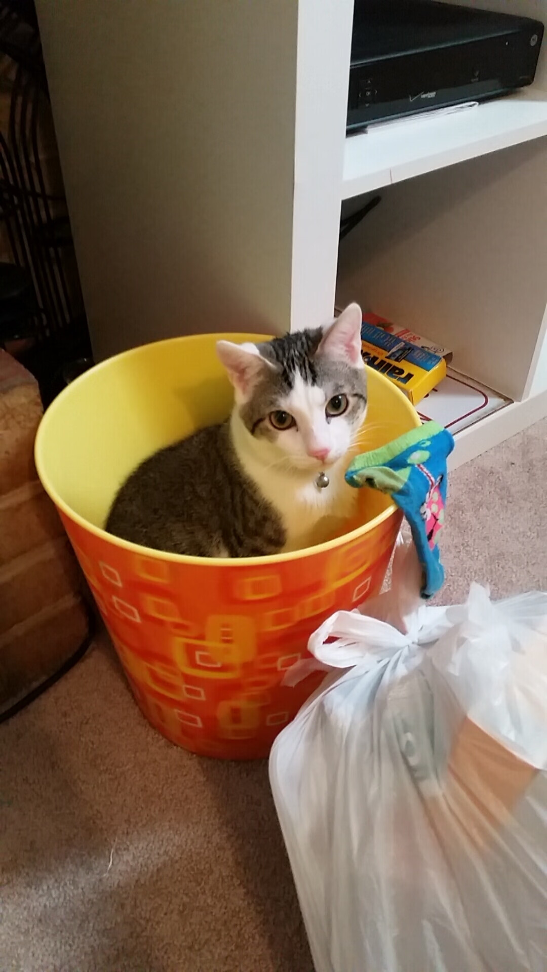 当拉文身披开拓者战袍，一场跨时空的总决赛接管狂想