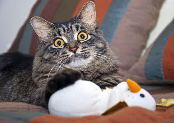 76人狂胜开拓者，小贾伦里程碑之夜，彰显新时代主场的势不可挡