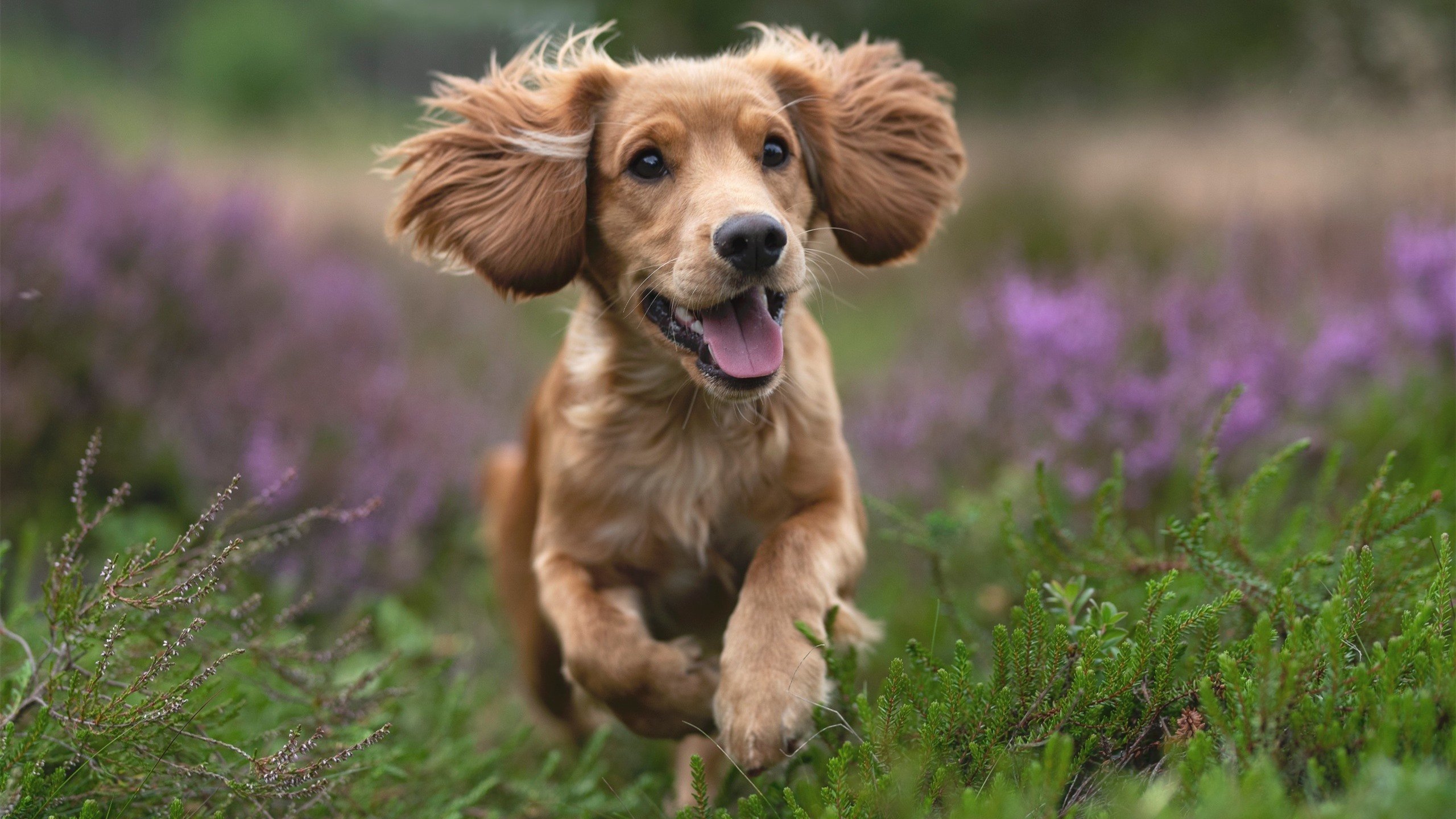 贝恩的独舞时刻，当年度焦点之战被一记记三分改写
