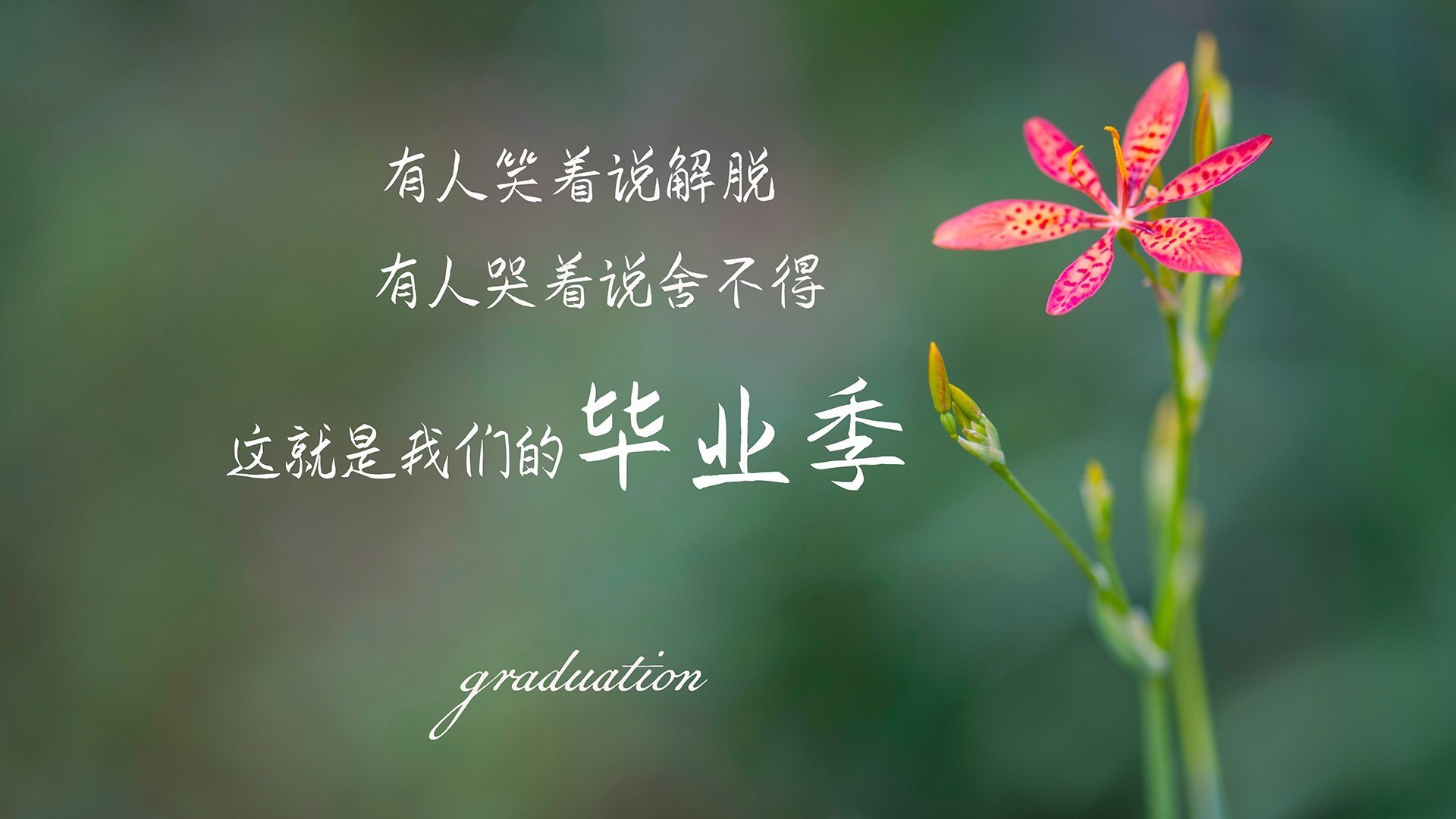 锁死！年度焦点之战霍勒迪让对手绝望，他的防守已成艺术