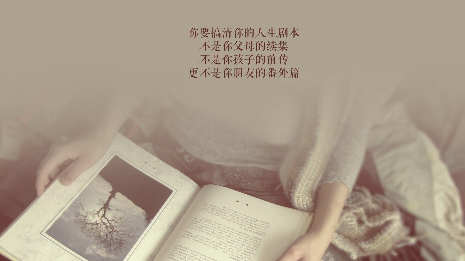 多哈的黄昏，B费的孤影，2026世界杯A组焦点战，卡塔尔力克波兰背后的唯一性叙事